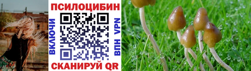 Галлюциногенные грибы ЛСД маркетплейс официальный сайт Покровск